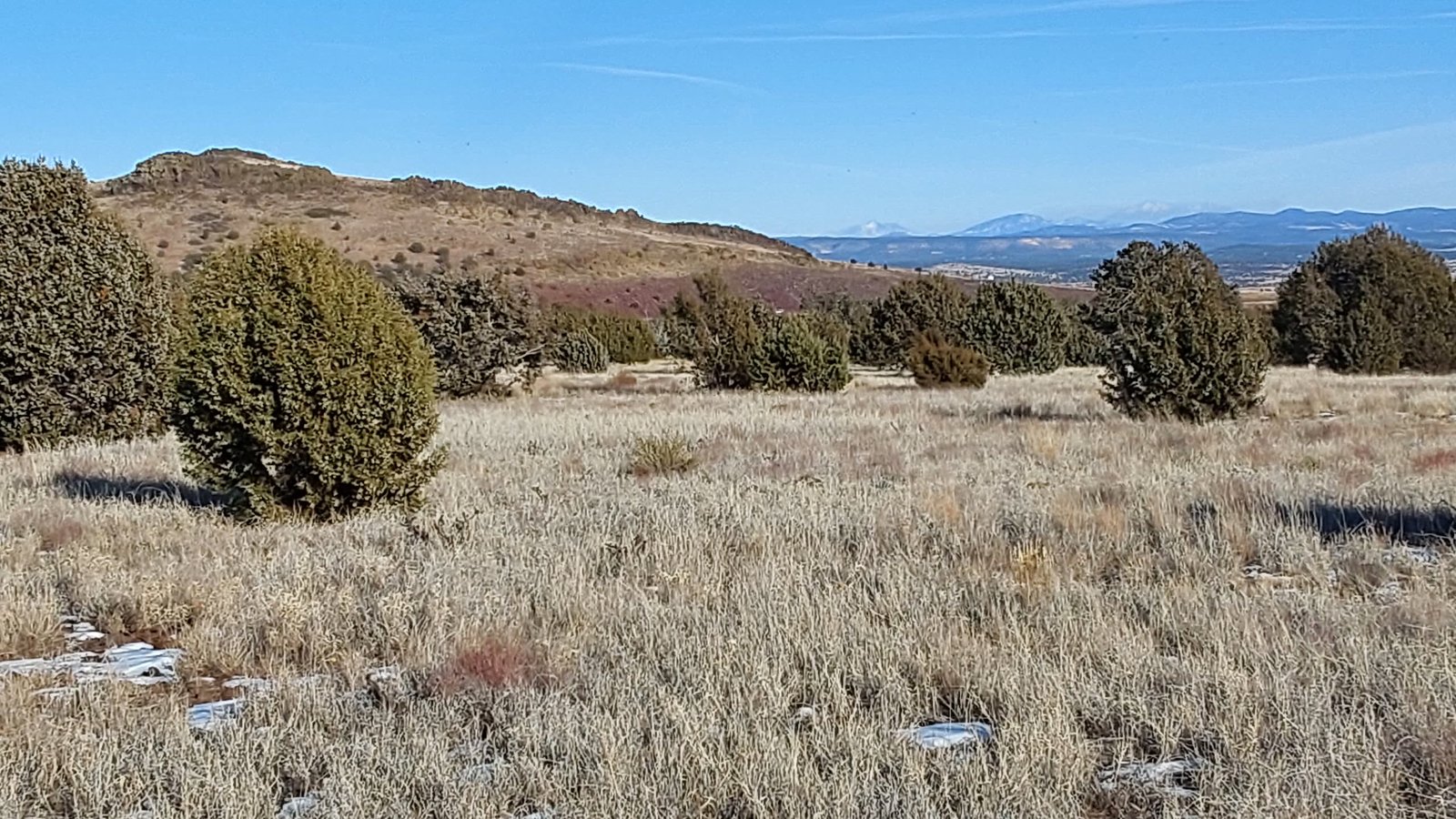 Juniper Woods Ranch Ash Fork Arizona 16 acres seller financing