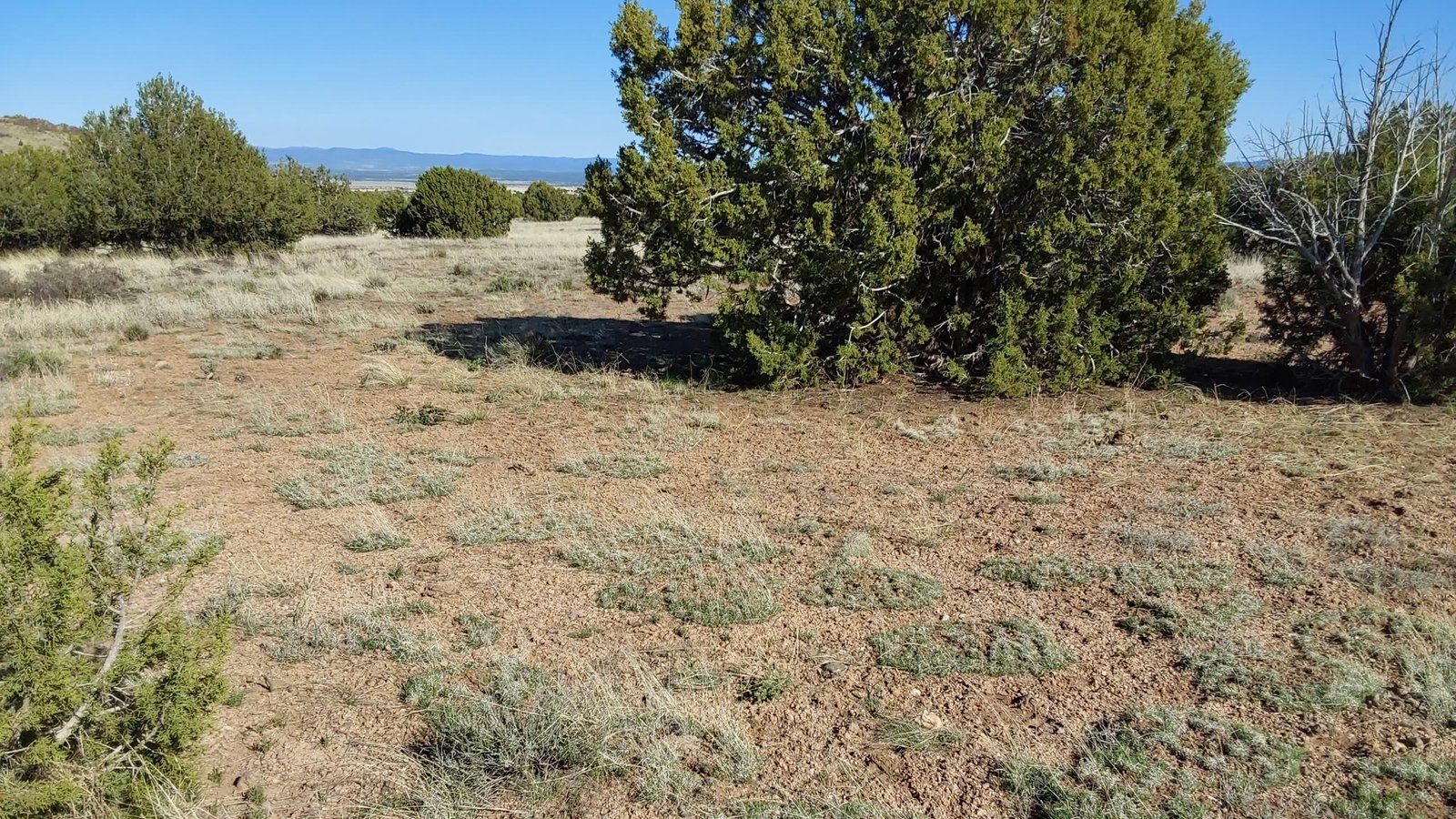 Yavapai County Arizona 16 acres raw land juniper trees hillcrest