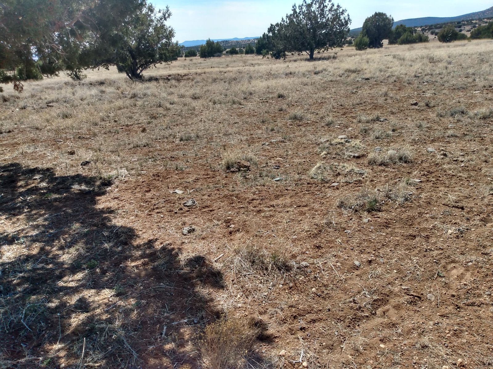 Arizona high desert juniper forest raw land panoramic views