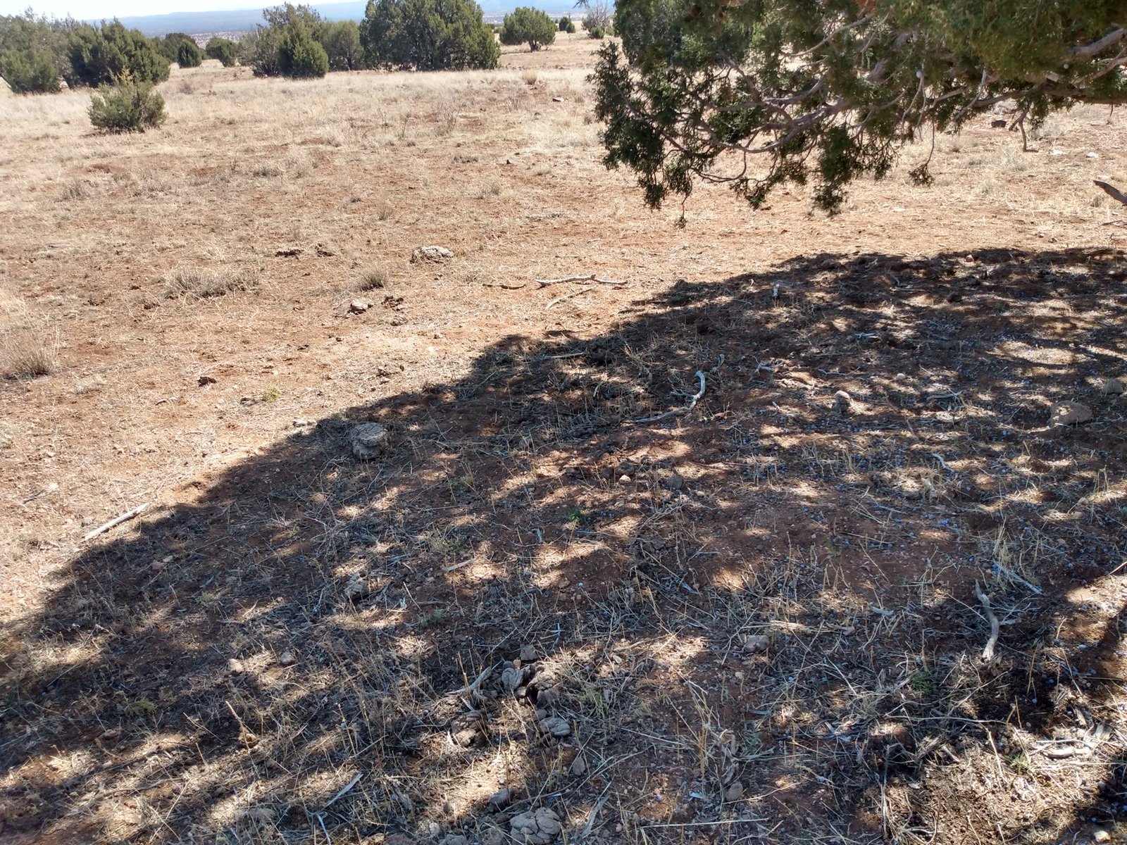 Arizona Route 66 corridor raw land Ash Fork Yavapai County